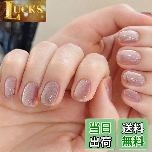 【送料無料】FINGOOO ネイルチップ マグネットタイプ 24枚入り 両面テープ付き 付け爪 つけ爪 ラウンドチップ ジェルネイル キラキラ シンプル 可愛い...