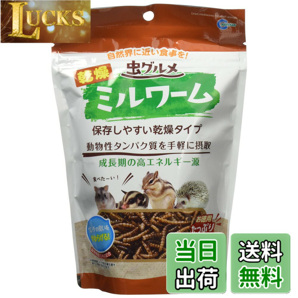 【送料無料】ミニマルランド 虫グルメ 乾燥ミルワーム お徳用 80グラム (x 1) サイズ：80グラム (x 1)