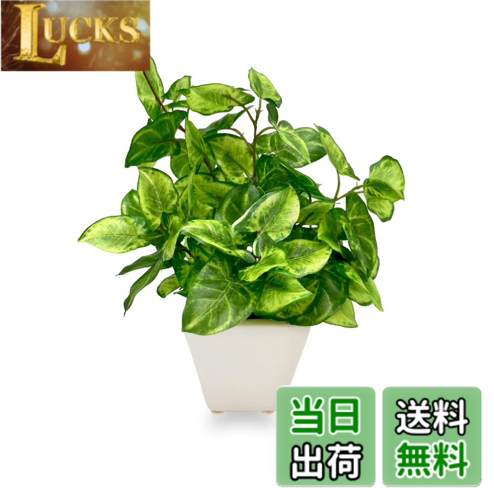 【送料無料】[ mamawreath ] 観葉植物 フェイク ミニ ポット シンゴニューム 1個 水やり不要 グリーン 小さい 卓上 おしゃれ アーティフィシャルフラワー インテリア リビング 人工 造花 枯れない 陶器 幸運 プレゼント 高さ18cmx幅13cm (シンゴニュームポット (V24034