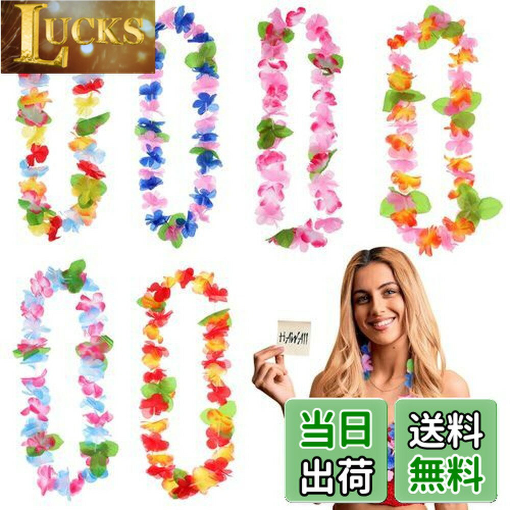 ������̵����LIOOBO �ϥ磻����쥤 �ϥ磻 �쥤 6�� �ե���� �쥤 �ϥ磻���� ���� �ϥ��ӥ����� �쥤 ����