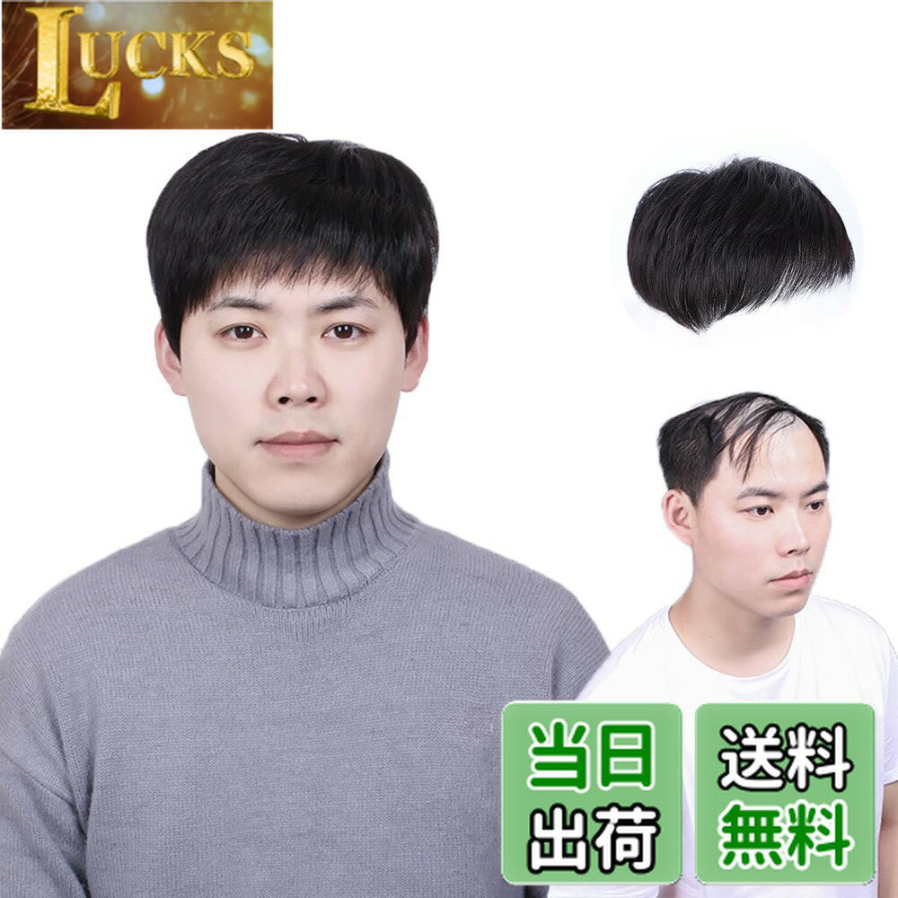 【送料無料】Sitengle 部分ウィッグ メンズ 頭頂部 人毛 男性用ウィッグ つむじはげ トップカバー ヘアトップピース 人工皮膚 円形脱毛症 白髪 ハゲ隠し 薄毛 抜毛 増毛 (16x18cm)