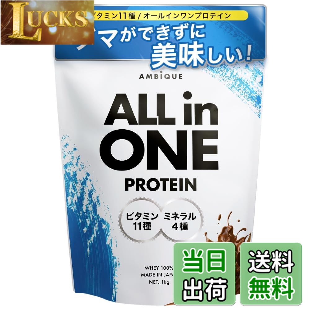 【送料無料】アンビーク オールインワン プロテイン ホエイ チョコレート風味 ビタミン11種配合 ミネラル4種配合 国産 1kg (1kgx1個, チョコレート)