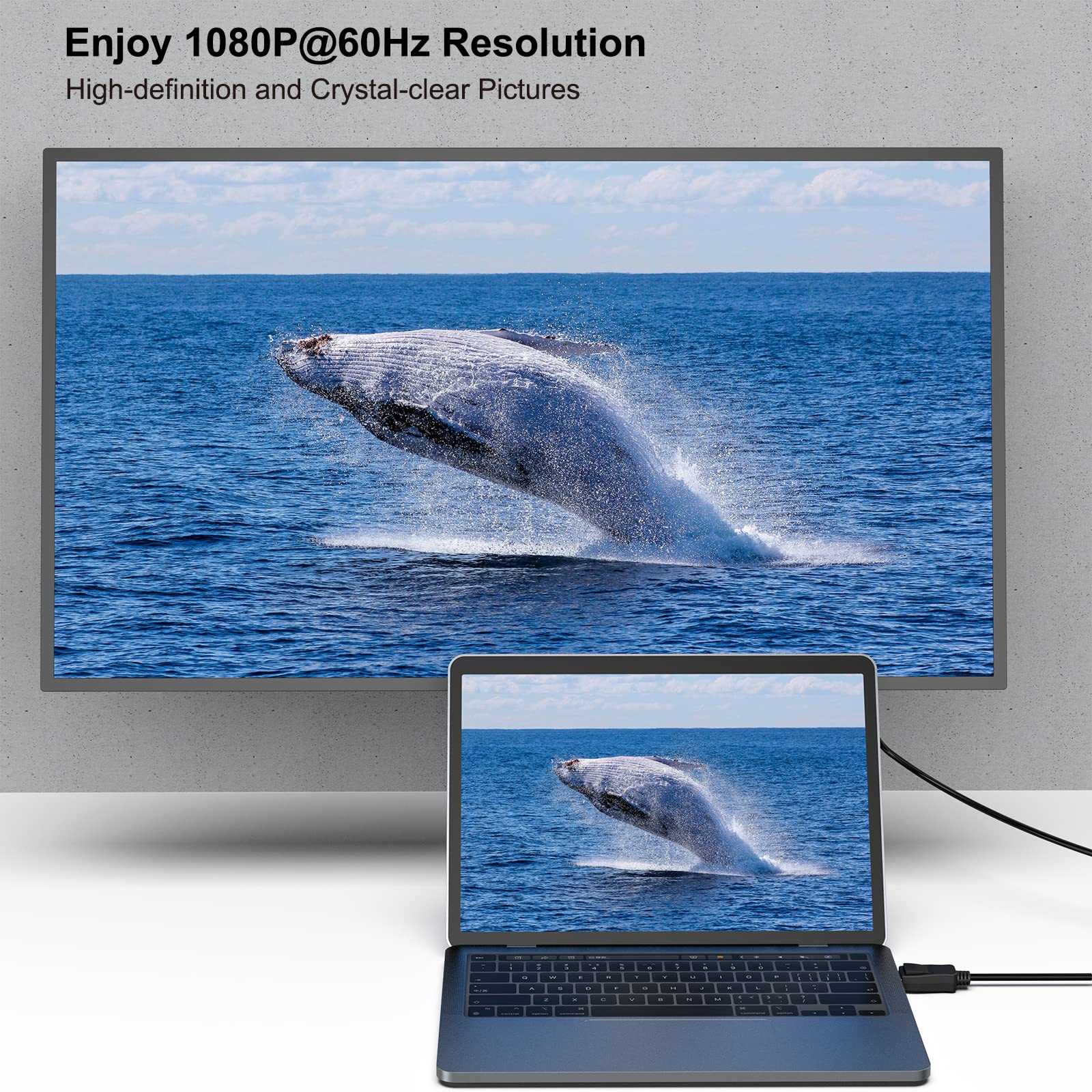 【送料無料】BENFEI 3m DisplayPort - DVI ケーブル DisplayPort - DVI アダプター...