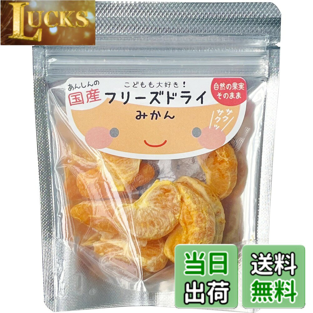 【送料無料】げんき本舗 こどもも大好き! フリーズドライ(みかん)