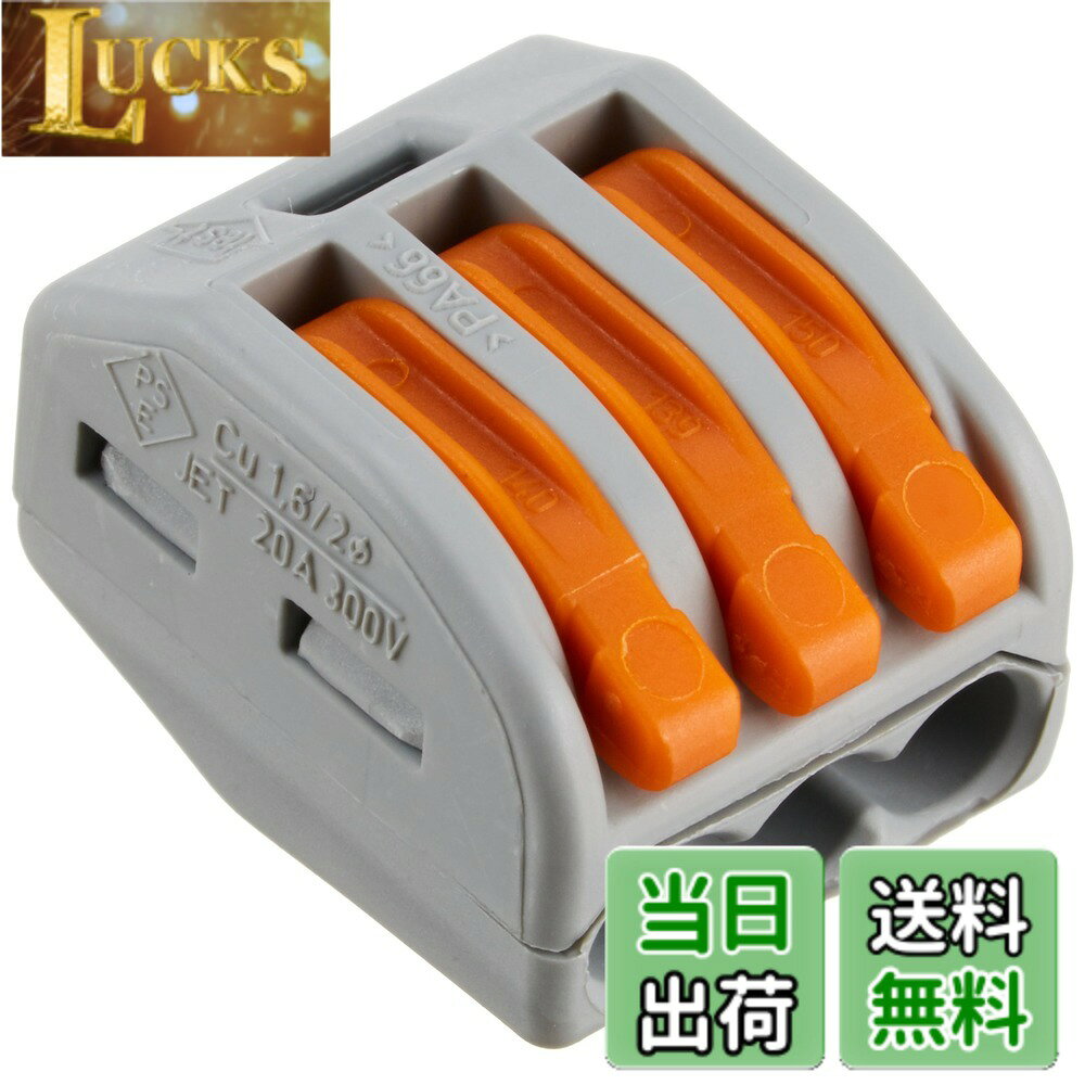 【送料無料】エーモン(amon) カンタン接続分岐コネクター DC12V200W以下/DC24V400W以下 2個入 2826