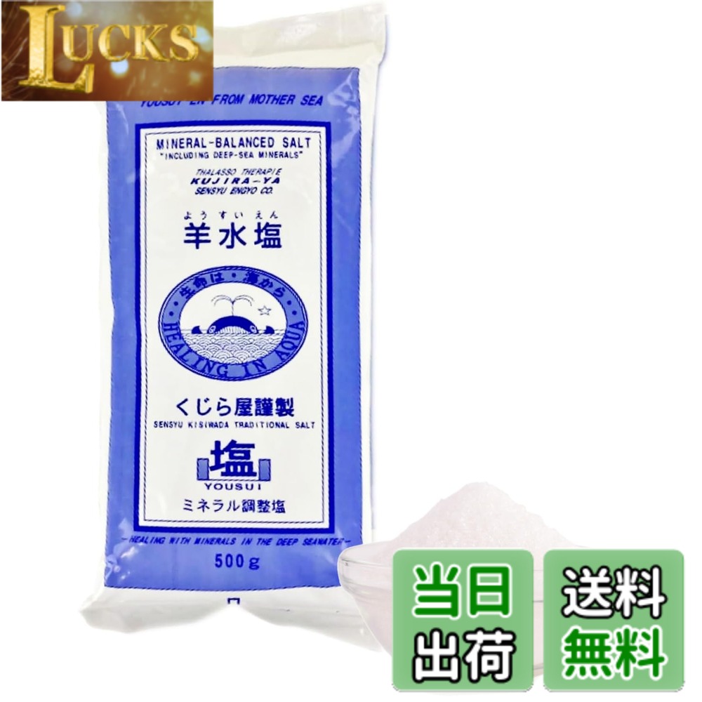 【送料無料】羊水塩 500g 食用のお塩としてだけでなく、バスソルト、歯磨きにも使えます！ 色：なし、サイズ：500g x 1個