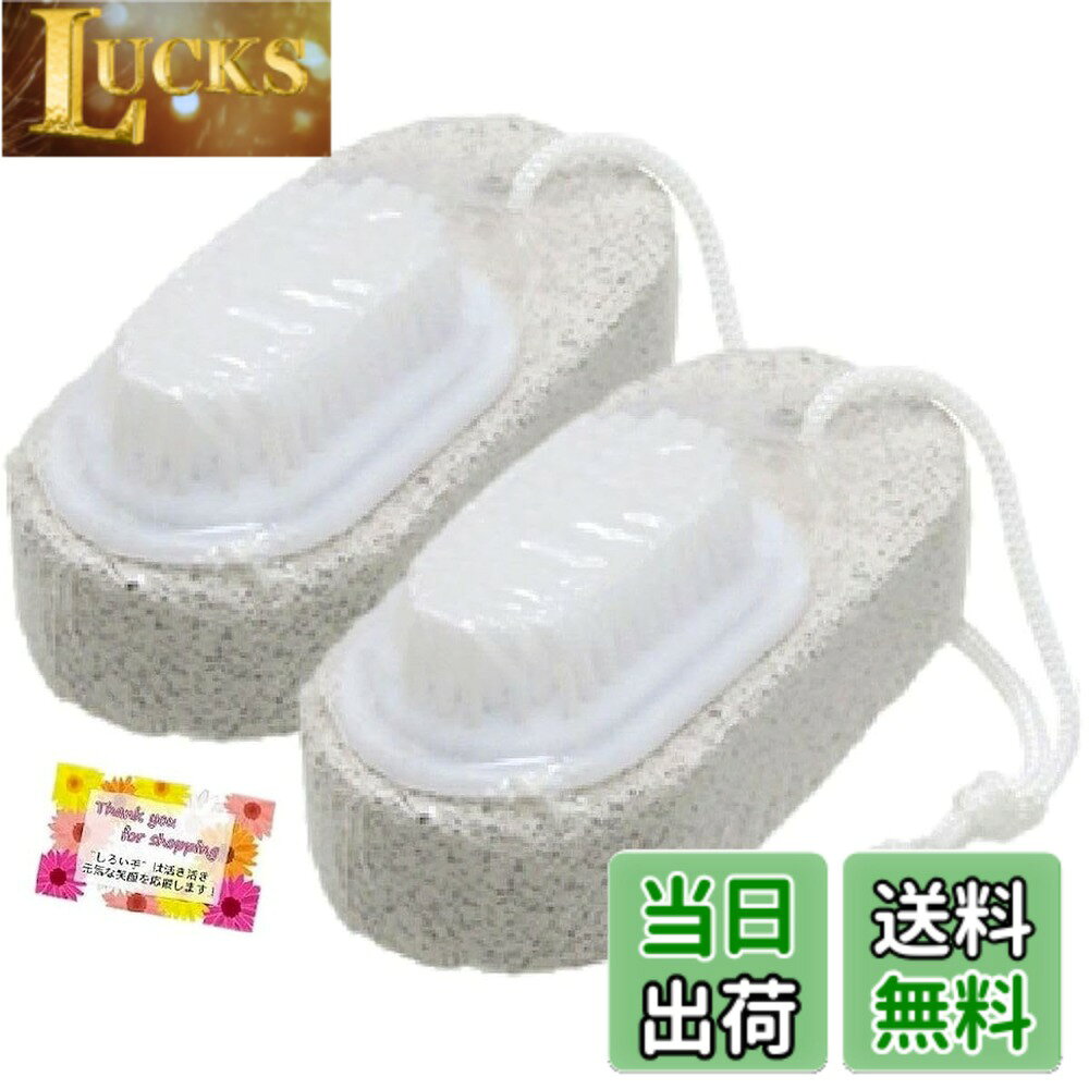 【送料無料】【爪ブラシと軽石がひとつになって便利】 美容ブラシ 爪ブラシ付き軽...