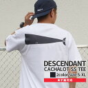 正規品 本物保証 新品 ディセンダント DESCENDANT CACHALOT SS TEE Tシャツ メンズ 201NTDS-CSM03S 半袖Tシャツ