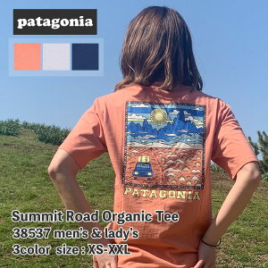 新品 パタゴニア Patagonia 21SS M’s Summit Road Organic Tee サミット ロード オーガニック Tシャツ 38537 メンズ レディース 2021SS 新作 半袖Tシャツ 39ショップ