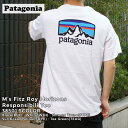 正規品 本物保証 新品 パタゴニア Patagonia M 039 s Fitz Roy Horizons Responsibili Tee フィッツロイ ホライゾンズ レスポンシビリ Tシャツ 38501 メンズ レディース アウトドア キャンプ 半袖Tシャツ