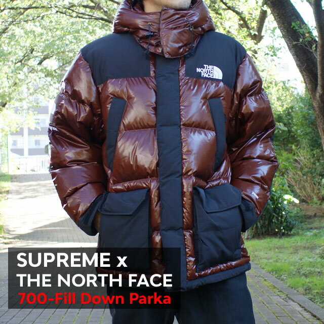 シュプリーム 正規品・本物保証 新品 シュプリーム SUPREME x ザ ノースフェイス THE NORTH FACE 700-Fill Down Parka ダウン ジャケット BROWN ブラウン 茶 メンズ OUTER