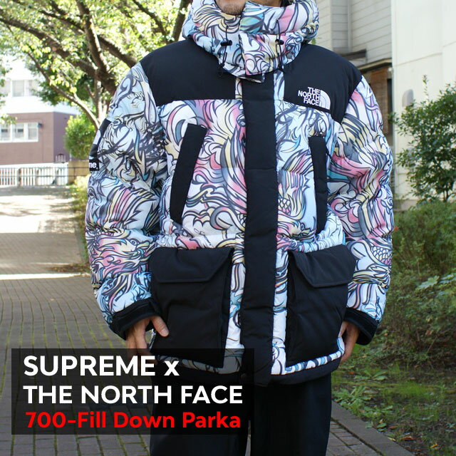 正規品 本物保証 新品 シュプリーム SUPREME x ザ ノースフェイス THE NORTH FACE 700-Fill Down Parka ダウン ジャケット MULTICOLOR DRAGON メンズ OUTER