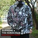 正規品・本物保証 新品 シュプリーム SUPREME x ザ ノースフェイス THE NORTH FACE Steep Tech Fleece Pullover フリース ジャケット MULTICOLOR DRAGON メンズ OUTER