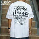 ステューシー 服 メンズ 正規品・本物保証 新品 ステューシー STUSSY SUMMER LB TEE Tシャツ WHITE ホワイト メンズ 新作 半袖Tシャツ