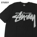 正規品・本物保証 新品 ステューシー STUSSY DIZZY STOCK TEE Tシャツ メンズ 新作 半袖Tシャツ