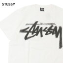 正規品・本物保証 新品 ステューシー STUSSY DIZZY STOCK TEE Tシャツ メンズ 新作 半袖Tシャツ