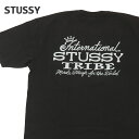 正規品・本物保証 新品 ステューシー STUSSY IST PIG.DYED TEE ピグメント ダイ Tシャツ メンズ 新作 半袖Tシャツ