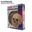 KiE{ۏ Vi Vv[ SUPREME 4D Model Human Skull XJ ̃pY Y V Xg[g XP[g XP[^[ ObY