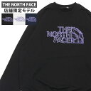 新品 ザ・ノースフェイス THE NORTH FACE 店舗限定 Graphic Crew Sweat クルー スウェット NT12441R メンズ レディース...