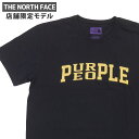 KiE{ۏ Vi UEm[XtFCX p[v[x THE NORTH FACE PURPLE LABEL X܌ COOLMAX Graphic Pack Tee N[}bNX TVc V NT3440N nanamica ii~J ^O AEghA TVc