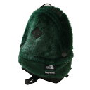 KiE{ۏ Vv[ Supreme x THE NORTH FACE UEm[XtFCX 20FW Faux Fur Backpack obNpbN GREEN O[ Y fB[X FREETCY 2020FW (ObY)