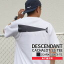 【月間優良ショップ7度受賞】 新品 ディセンダント DESCENDANT CACHALOT SS TEE Tシャツ メンズ 201NTDS-CSM03S