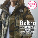 【月間優良ショップ7度受賞】 新品 ザ ノースフェイス THE NORTH FACE NOVELTY BALTRO LIGHT JACKET ノベルティ バルトロ ライト ジャケット ダウン WD ウッドランドカモ ND91951 メンズ レディース アウター ゴアテックス 防風 防寒 キャンプ