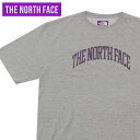 【月間優良ショップ7度受賞】 新品 ザ・ノースフェイス パープルレーベル THE NORTH FACE PURPLE LABEL H/S Graphic Tee Tシャツ Z(MIX GRAY) 新作 NT3324N