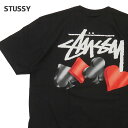【2023年11月度 通算7度目の月間優良ショップ受賞】 新品 ステューシー STUSSY SUITS TEE Tシャツ BLACK ブラック メンズ 新作 JTZ-I
