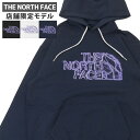 【月間優良ショップ7度受賞】 新品 ザ・ノースフェイス THE NORTH FACE 店舗限定 Graphic Hoodie フーディー スウェット パーカー NT12440R メンズ レディース 新作ETI128