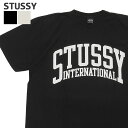 【月間優良ショップ7度受賞】 新品 ステューシー STUSSY INTERNATIONAL PIG DYED TEE Tシャツ メンズ 新作 スケート ストリート エイトボール ストックロゴ ストゥーシー スチューシー ETI015
