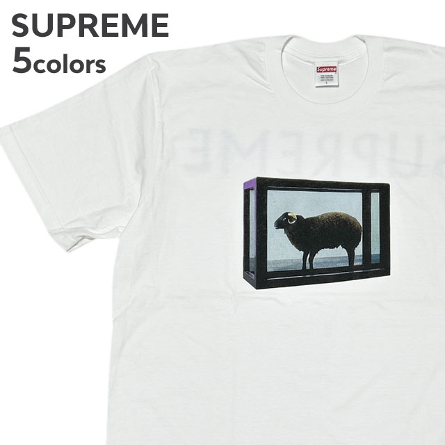 楽天市場】supreme damien hirstの通販 楽天市場】supreme damien hirstの通販
