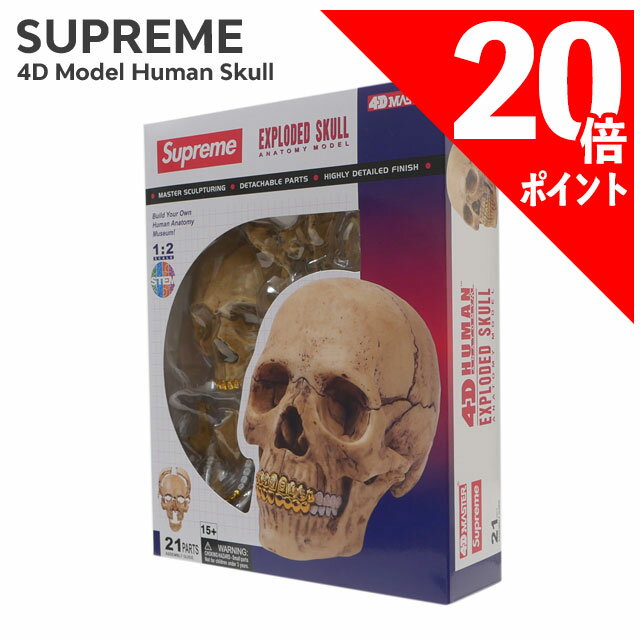 楽天市場】supreme male anatomy modelの通販 楽天市場】supreme male anatomy modelの通販
