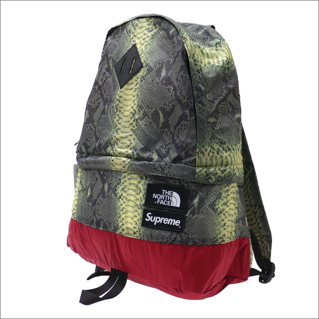 【2021年3月度 月間優良ショップ受賞】 シュプリーム SUPREME x THE NORTH FACE ザ・ノースフェイス Snakeskin Lightweight Day Pack デイパック GREEN 276000290115 【新品】 39ショップ