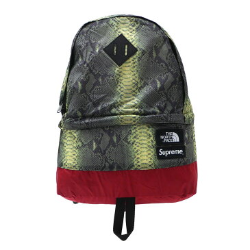 【2021年3月度 月間優良ショップ受賞】 シュプリーム SUPREME x THE NORTH FACE ザ・ノースフェイス Snakeskin Lightweight Day Pack デイパック GREEN 276000290115 【新品】