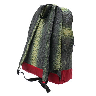 【2021年3月度 月間優良ショップ受賞】 シュプリーム SUPREME x THE NORTH FACE ザ・ノースフェイス Snakeskin Lightweight Day Pack デイパック GREEN 276000290115 【新品】