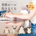 【5/5日 限定10%OFFクーポン】背筋ピーン抱き枕 プレミアムねむねむアニマルズ リラワーク クッション 抱き枕 姿勢 サポート 背もたれ 猫背矯正 かわい...