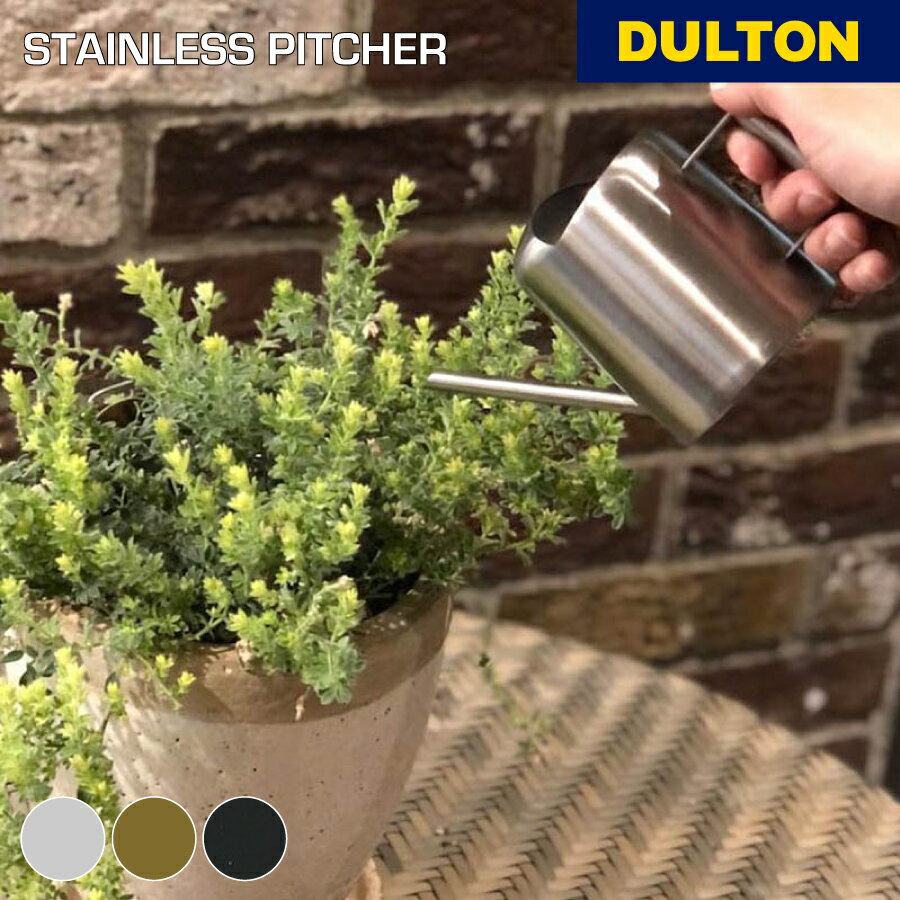 【11/15 0:00～11/16 23:59まで5%OFF】ステンレス ピッチャー DULTON ダルトン 水差し ガーデニング ジョウロ ステンレス ピッチャー 小型 細口 水やり 観葉植物 花 ベランダ 園芸用品 窓際 持ち運び シンプル おしゃれ 贈り物 ギフト プレゼント