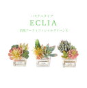 【5/5 P5倍】消臭アーティフィシャルグリーン Eclia エクリア パステルカラーS 消臭 抗菌 防汚 フェイクグリーン 観葉植物 オシャレ インテリア KH-61180 KH-61181 KH-61182 KISHIMA