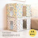 【5/5日 限定10%OFFクーポン】Leo Lionni 窓付収納ボックス 収納ボックス 折りたたみ レオレオニ インテリア 収納 前開き 大容量 クローゼッ...