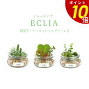 【7/26 1時59分まで最大P20倍】消臭アーティフィシャルグリーン Eclia エクリア ガラスジャーS 消臭 抗菌 防汚 フェイクグリーン 観葉植物 オシャレ KH-61135 KH-61136 KH-61137 KISHIMA