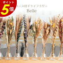 ベース付きドライフラワーBelle Dryflower vase ドライフラワー 花瓶セット ガラス 花束 ブーケ お花 花材 おしゃれ かわいい 誕生日 プレゼント ギフト インテリア 雑貨