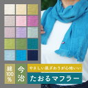 たおるマフラー　タオル 旅行 温泉 お風呂 日本製 今治 天然素材 綿 コットン やわらかい UVカット