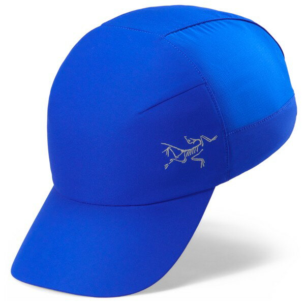 アークテリクス カルバス キャップ ( Vitality ) | ARC'TERYX Calvus Cap