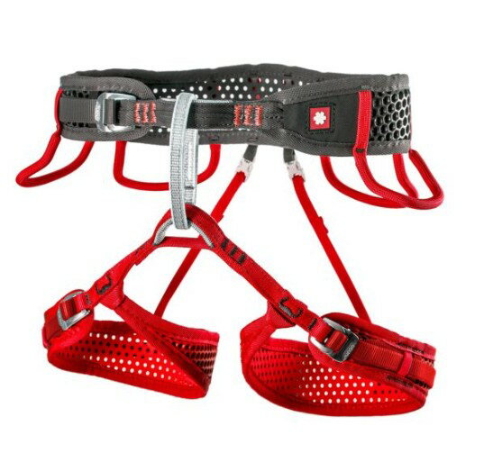 �����ĥ� WeBee �ϡ��ͥ� ��ǥ����� ���饤�ߥ� �л� ( Blue/Red ) | OCUN WeBee Lady [e]