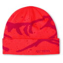 【 即納 】 アークテリクス グロット トーク ( Dynasty / Dark Dynsty ) | ARC'TERYX Grotto Toque(4)