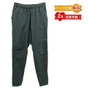 【在庫処分】【 即納 】 パタゴニア メンズ テルボンヌ ジョガーズ ( Nouveau Green) | PATAGONIA Terrebonne Jogge...