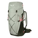 サレワ アルプ トレーナー 35+3 38L バックパック ( Shadow / Dark Olive ) | SALEWA Alp Trainer 35+3 ...