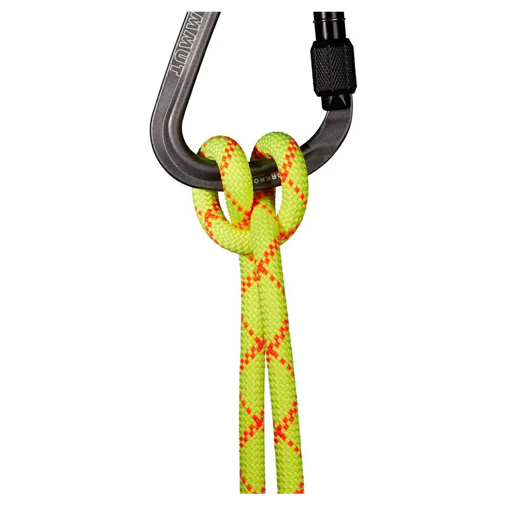 �ޥࡼ�� ����ѥ��� ���� �ץ��ƥ��� �ɥ饤 9.5 mm �� Dry Standard / Halo / Vibrant Orange �� | MAMMUT Alpine Core Protect Dry 9.5 mm [t]