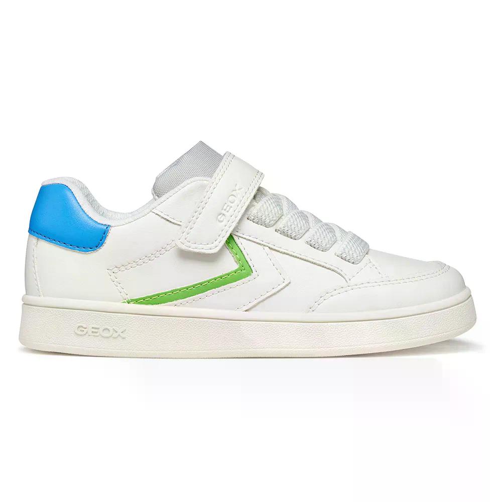 樂天商城 - ジェオックス エクリーパー スニーカー ジュニア （ White/LightGreen ） | GEOX Eclyper sneakers Junior [t]
